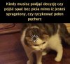 Spragnienie czy pełen pęcherz?