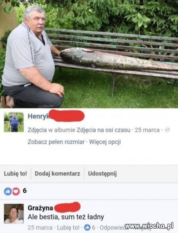 Ależ bestia no