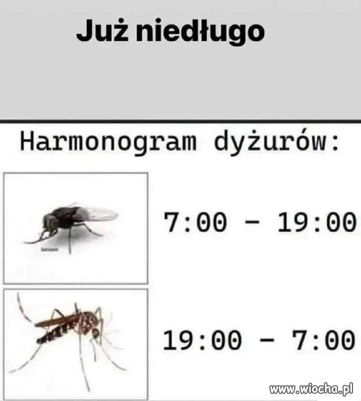 No nie, tylko nie to