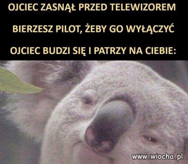 Przecież nie śpię