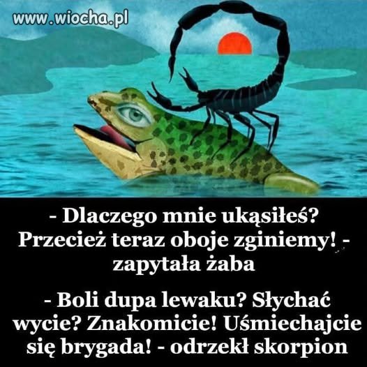 Nie zna życia ...