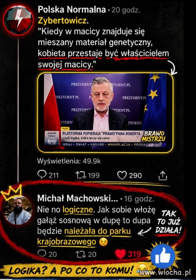 Leśny dziadek znokautowany