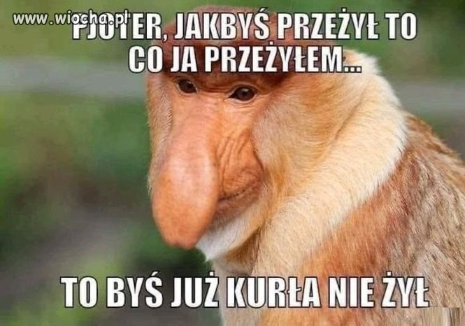 Nie zna życia ten