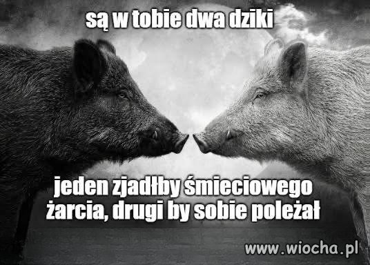 Jeden by się najadł śmieciowego żarcia