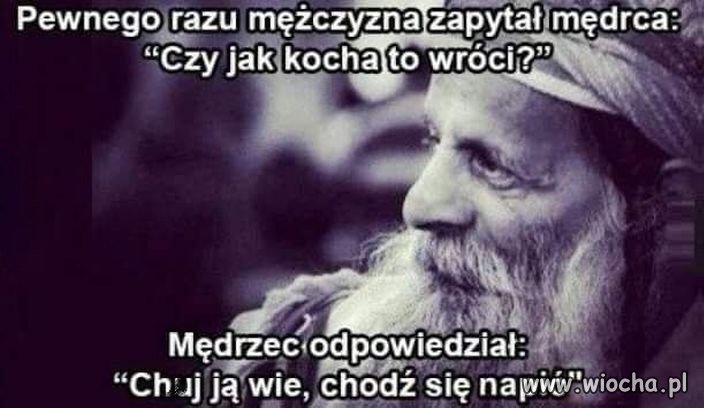 Jak kocha, to wróci?