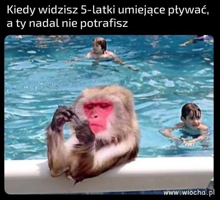 Nie każdy musi być specjalistą od wszystkiego