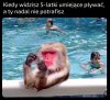 Nie każdy musi być specjalistą od wszystkiego