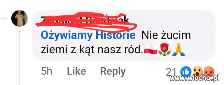 Nie damy pogrzeź mowy