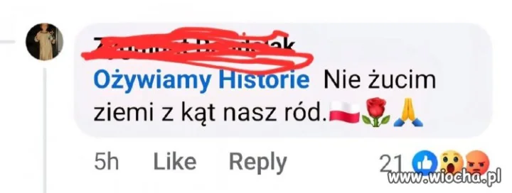 Nie damy pogrzeź mowy