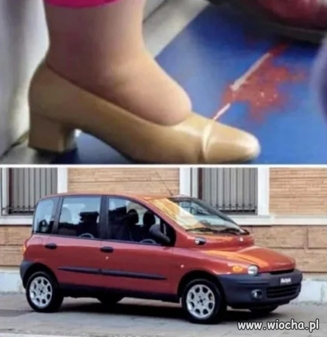 Tak powstała multipla