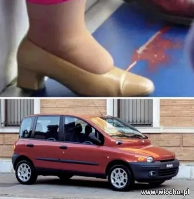 Tak powstała multipla