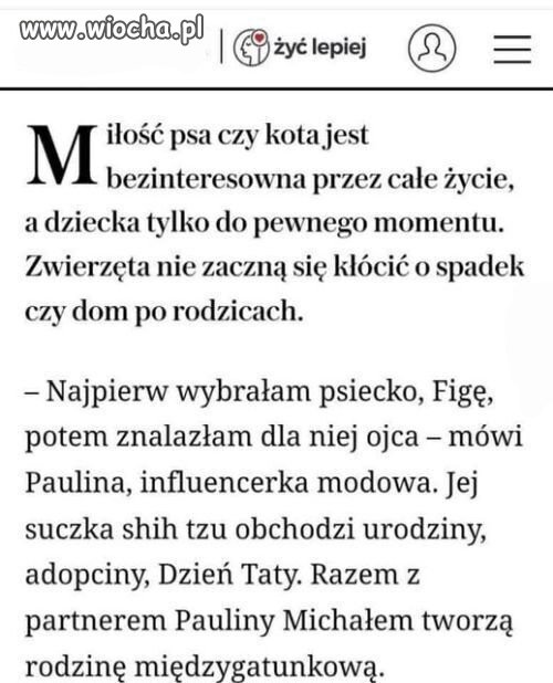 Za takie głupie pitolenie 