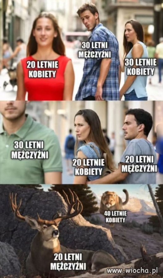Cykl porzadania 
