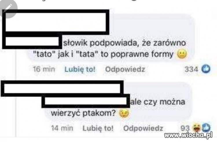 Słowik podpowiada porady językowe