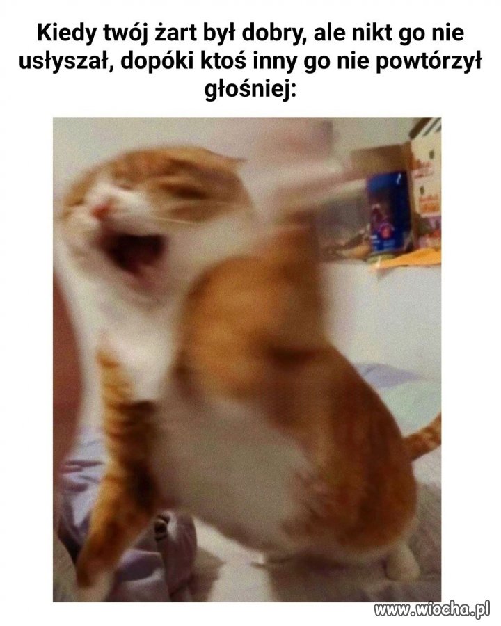 Przecież to był mój żart