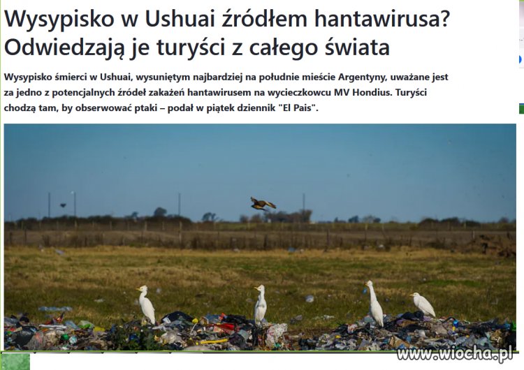   w programie super atrakcje...