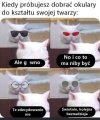 Kolejna beznadzieja