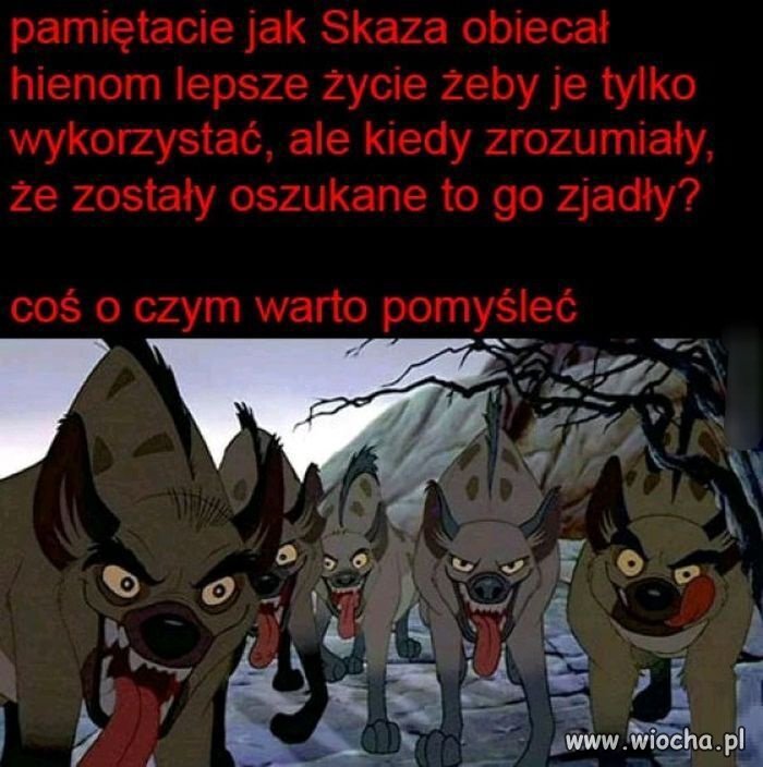 Nic nie sugeruje i wcale, ale to wcale 