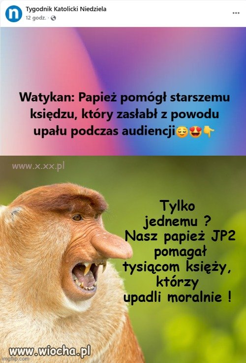 News z Watykanu.
