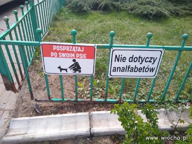 Posprzątaj po swoim psie