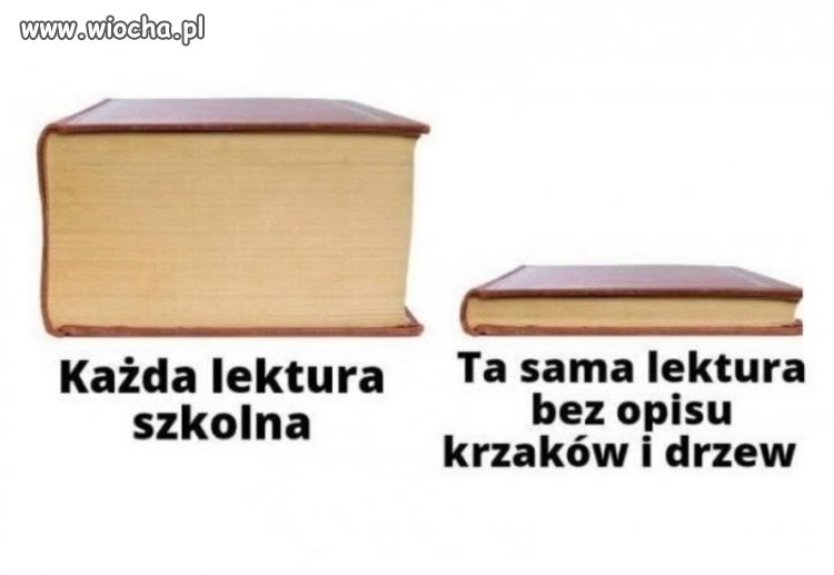 Każda lektura szkolna