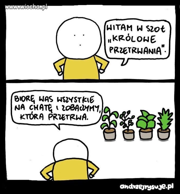 Biorę I zobaczymy co będzie 
