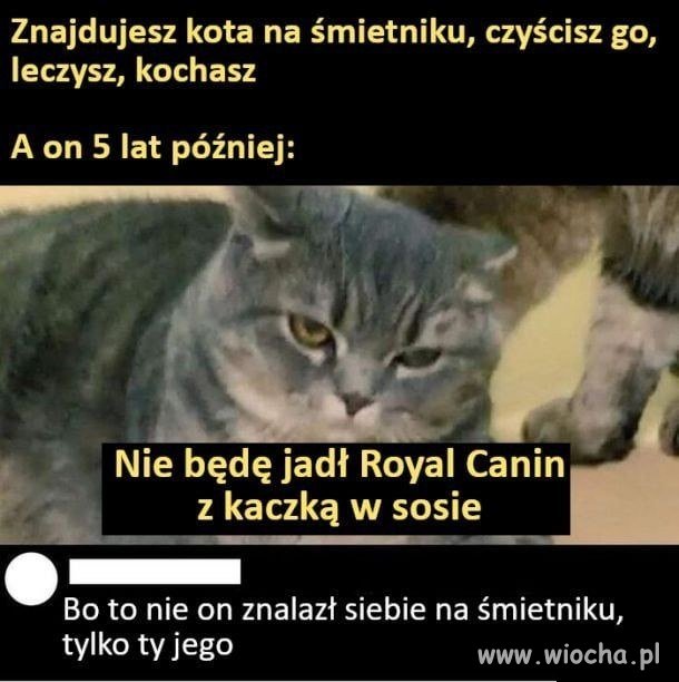 To ty go znalazłeś