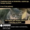 To ty go znalazłeś