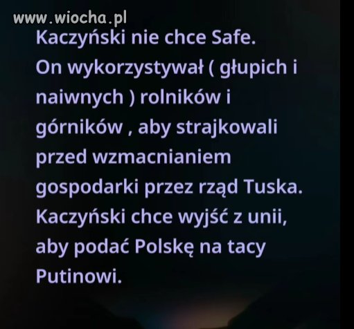 Kaczka prawdę ci powie.