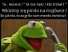 Widzimy się pindo na majówce !