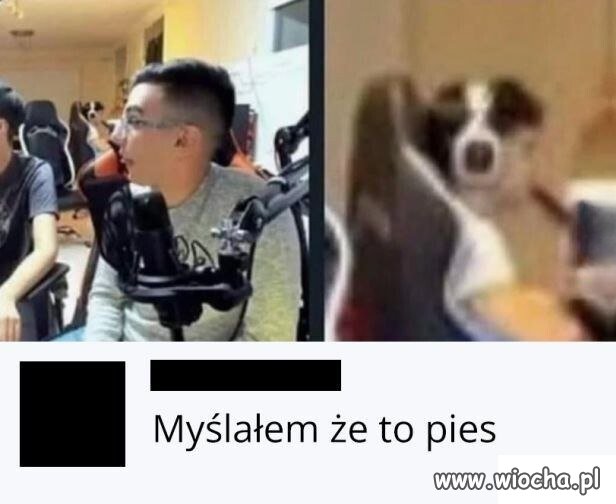 Bez kitu