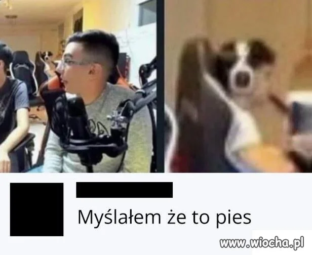 Bez kitu
