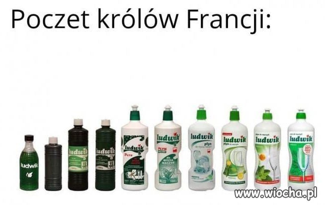 Francuzi chyba lubią imię Ludwik