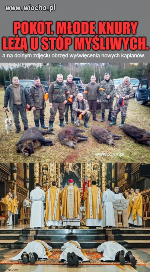 Dziwnie podobne są te zdjęcia.