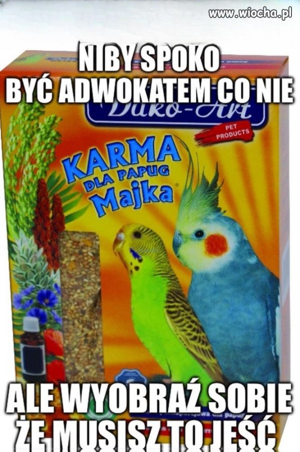 Ale serio adwokaci to jedzą?