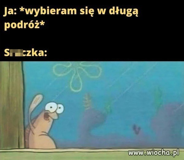 Dlaczego to się zawsze dzieje?