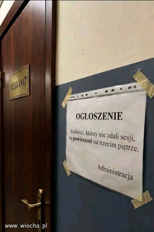 Studia...