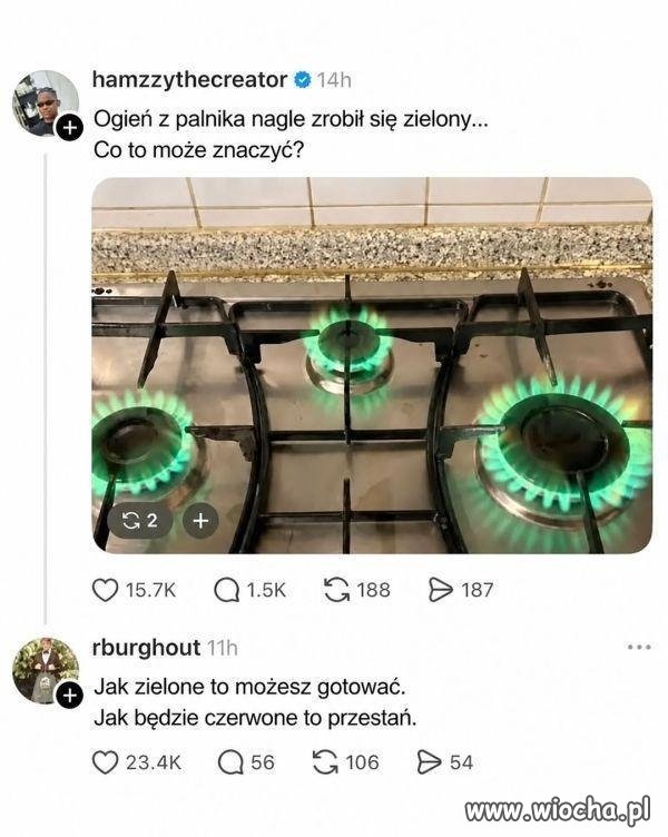 Zielone - możesz gotować