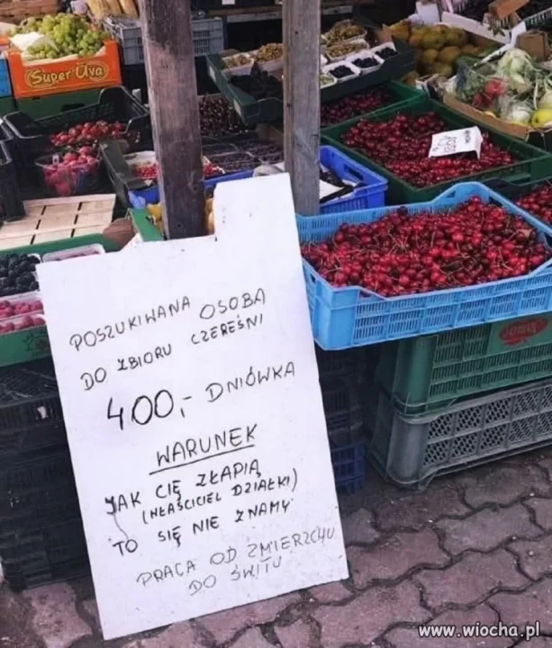 Praca od zmierzchu do świtu