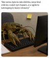 Bez sensu była ta cała zbiórka