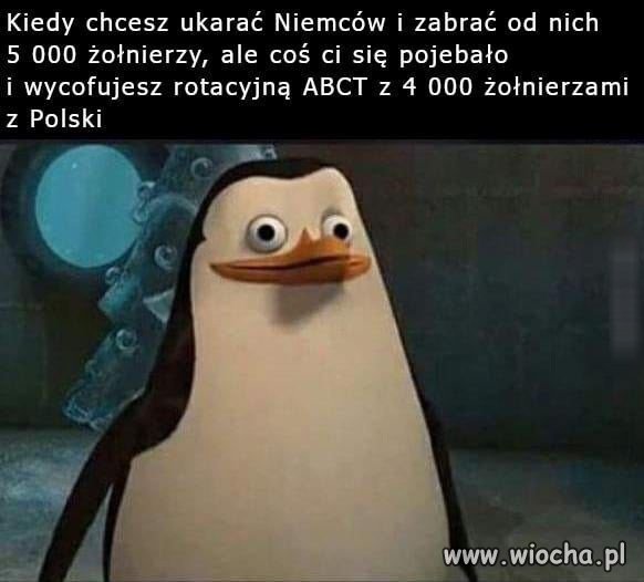 No i się porobiło 