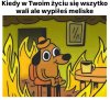 Cała nadzieja w melisie