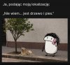 Jest drzewo i pies