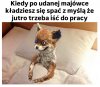 Tak fajnie było w majówkę