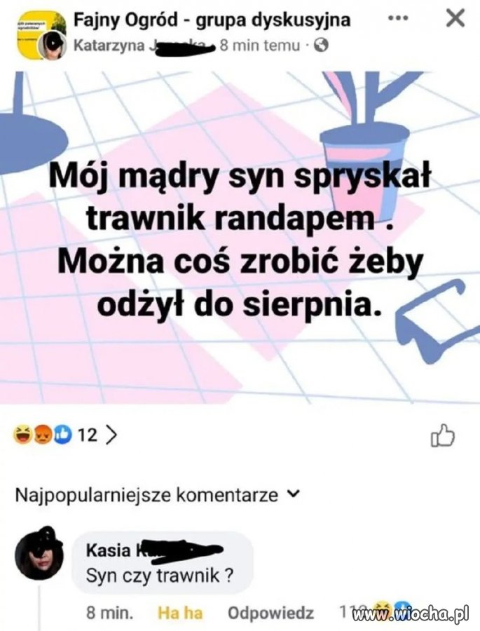 Można coś zrobić, żeby odżył do sierpnia?