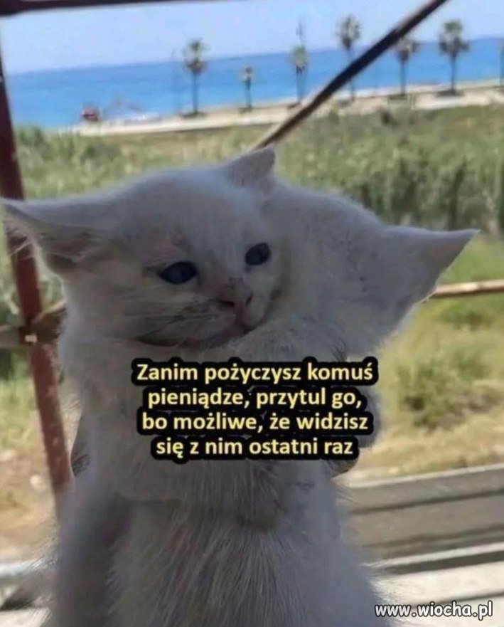 Ostatnia pożyczka