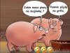 Jakie masz plany na majówkę