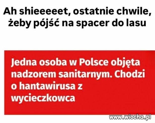 Znowu zamkną lasy?