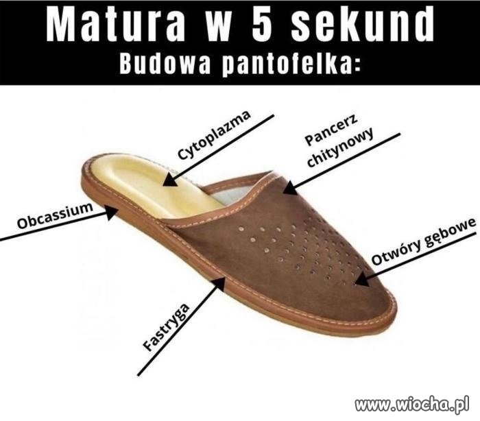Matura w 5 sekund