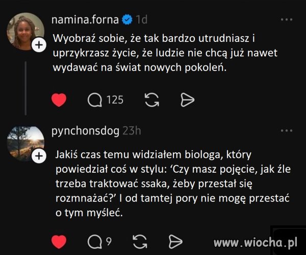 Gotowanie żaby